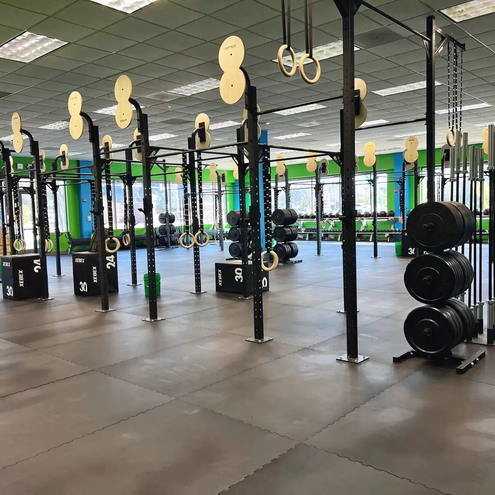 The rig in Chantilly's green hall at midday, the windows bright behind it.